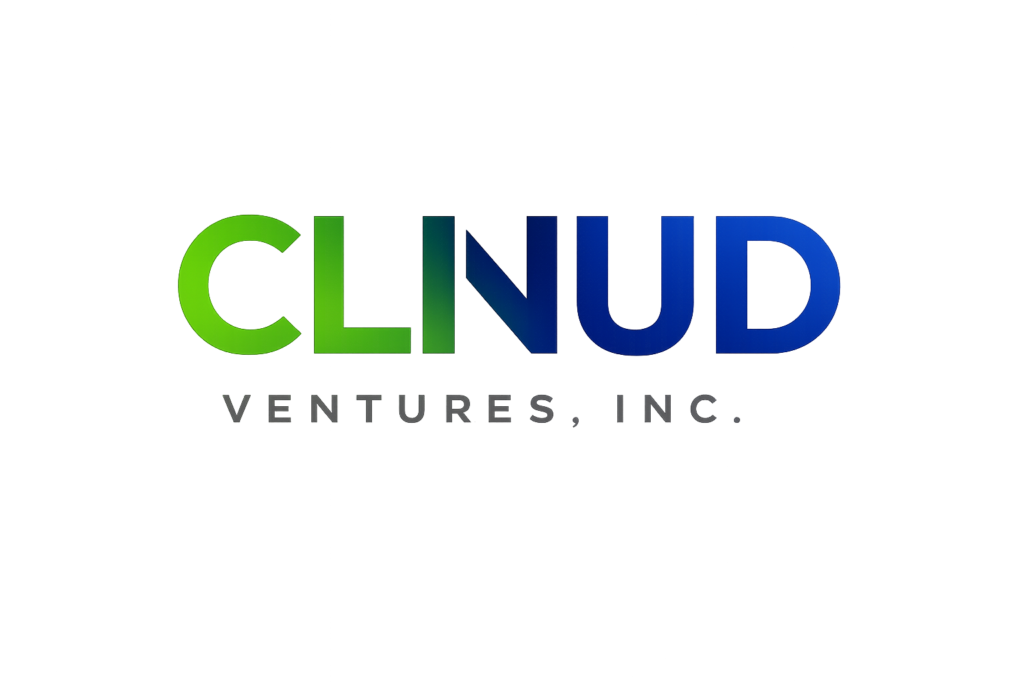 A JOINT VENTURE UNDER