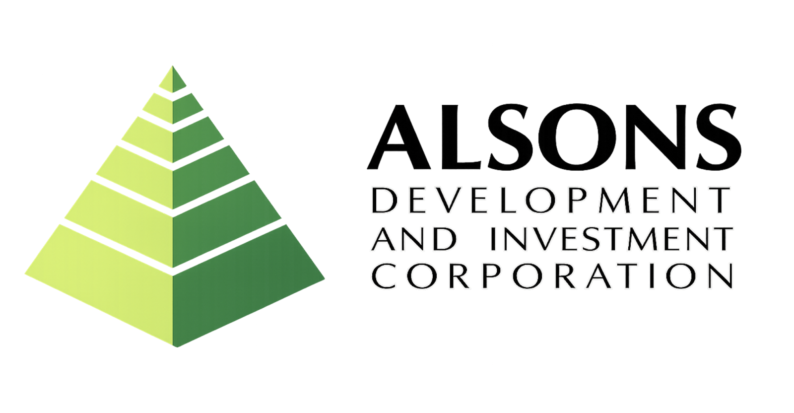 Project Developer
